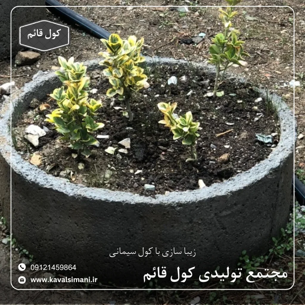 گلدان بتنی